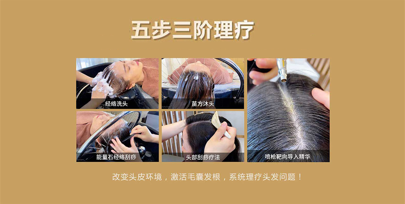岳靈5大系列產品